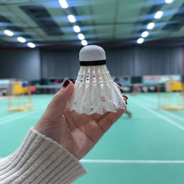 训练备战焦点解析:阵容视角的深度剖析